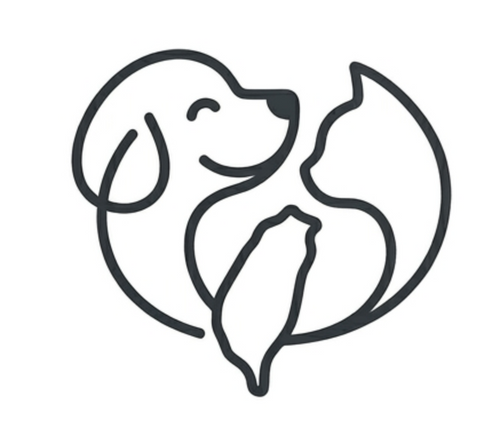 毛寶貝